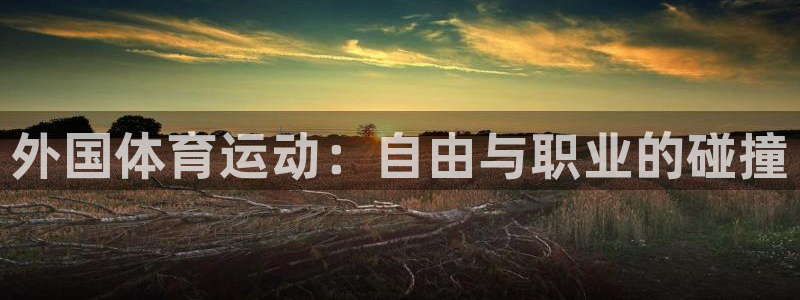 678体育app：外国体育运动：自由与职业的碰撞