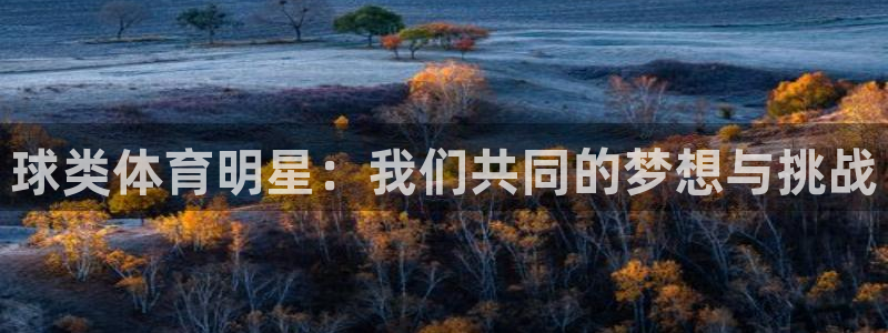 678体育官网：球类体育明星：我们共同的梦想与挑战