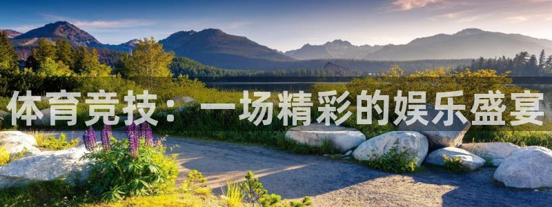 678体育官网：体育竞技：一场精彩的娱乐盛宴