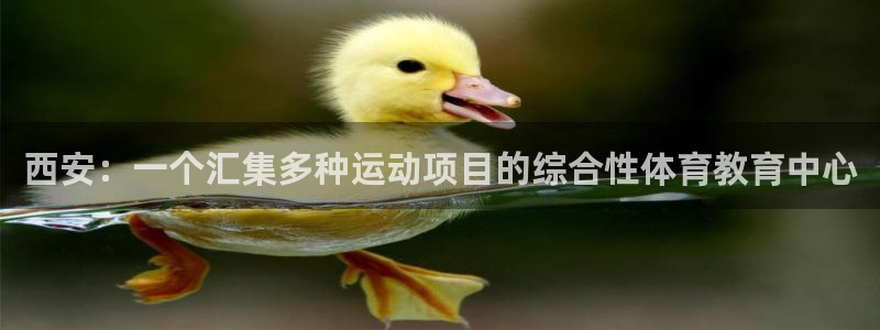 678体育官网：西安：一个汇集多种运动项目的综合性体育教育中心