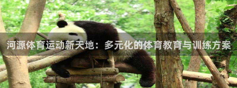 678体育知识：河源体育运动新天地：多元化的体育教育与训练方案