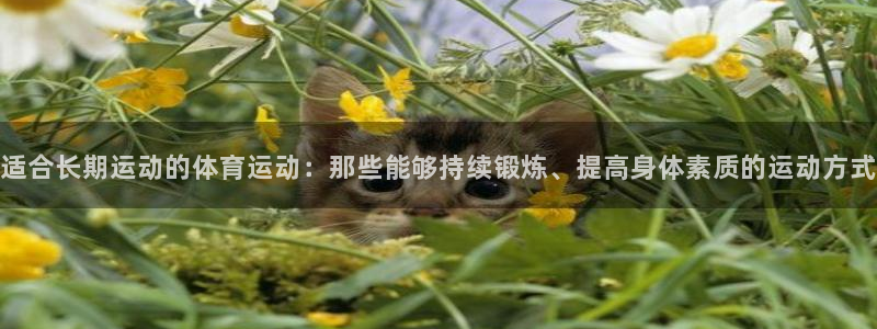 678体育官网：适合长期运动的体育运动：那些能够持续锻炼、提高身体素质的运动方式