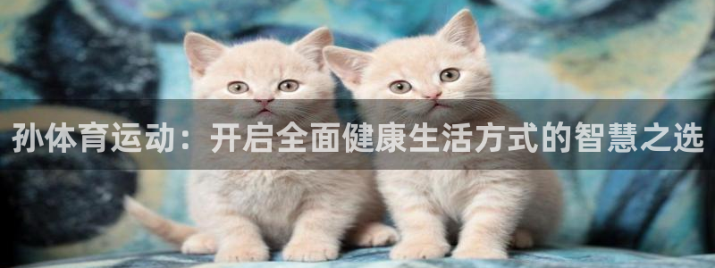 678体育官网：孙体育运动：开启全面健康生活方式的智慧之选