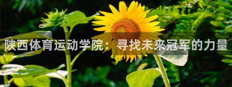 678体育：陕西体育运动学院：寻找未来冠军的力量