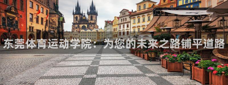 皇冠678体育：东莞体育运动学院：为您的未来之路铺平道路